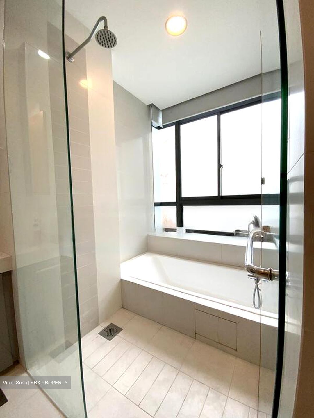 The Citrine (D12), Apartment #481089541